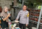 Polsek-Gedangan-Tinjau-Peternakan-Ayam,-Dukung-Ketahanan-Pangan-di-Desa-Keboananom