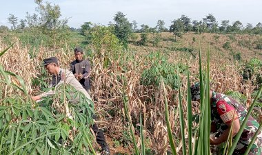 Bhabinkamtibmas-Polres-Pasuruan-Jadi-Motor-Penggerak-Ketahanan-Pangan