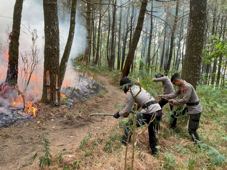 Sinergitas Polres Ngawi Bersama TNI dan Pemkab Upaya Padamkan Api di Lereng Gunung Lawu