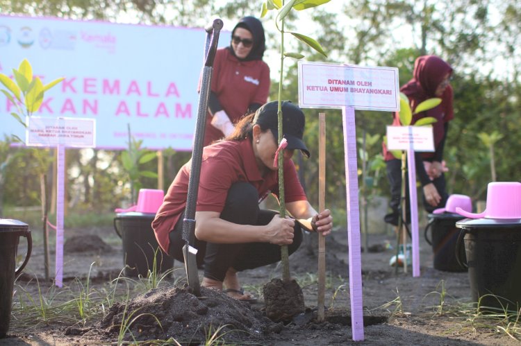 Bhayangkari Peduli, Ketua Umum Bhayangkari Melepas 700 Tukik danTanam Mangrove di Pantai Cemara Banyuwangi