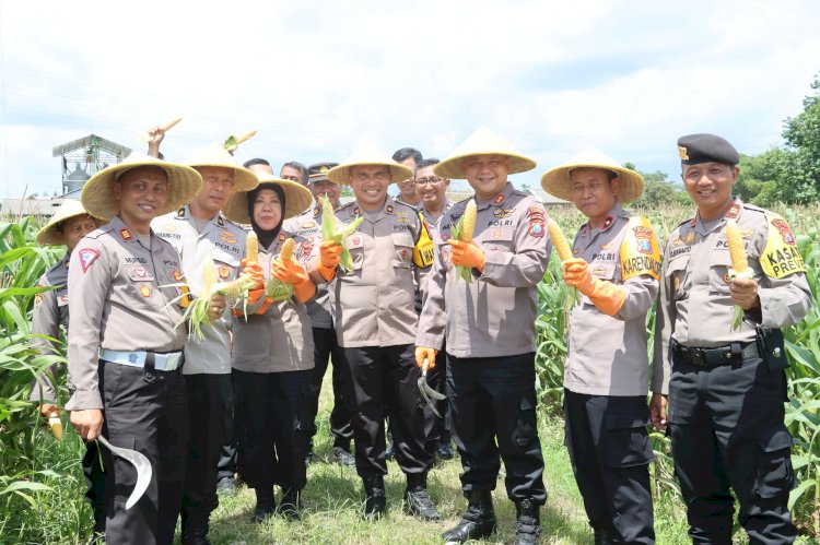 Polres Blitar Panen Kedua Jagung Swasembada untuk Anggota dan Masyarakat