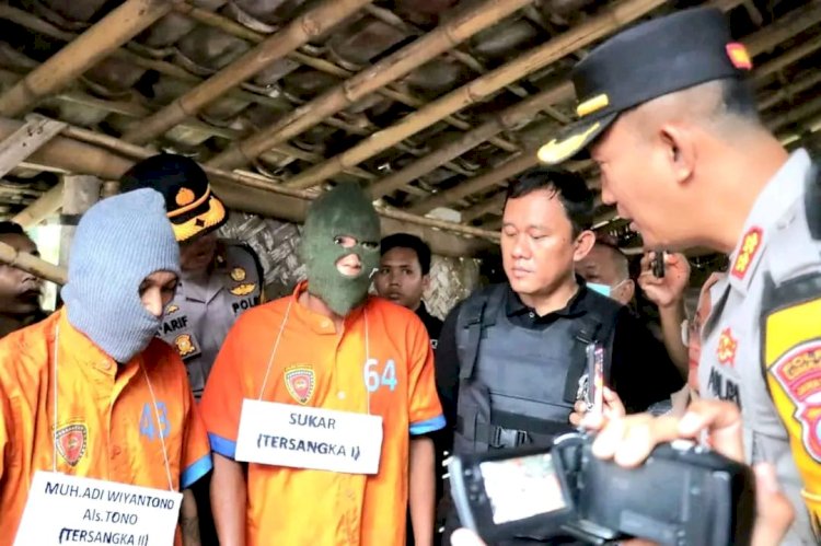 Polisi Berhasil Amankan Dua Tersangka Pencuri Sapi di Lumajang