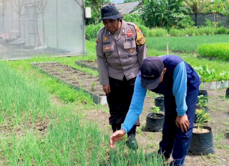 Bhabinkamtibmas Polsek Balongbendo Sambangi Lahan Pekarangan Pangan Bergizi di Desa Binaan