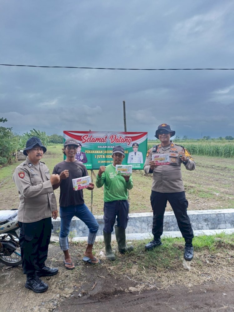 Polsek Balongbendo Serahkan Pupuk untuk Tanaman Jagung ke Masyarakat