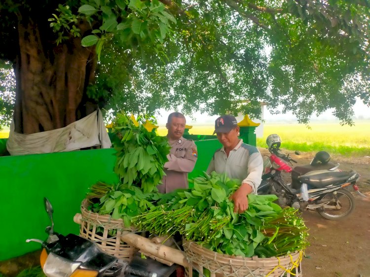 Polsek Prambon Dukung Ketahanan Pangan Turut Kontrol