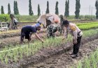 Polsek-Krian-Optimalisasi-Pengelolahan-Lahan-Penanaman-Bawang-Merah-untuk-Ketahanan-Pangan