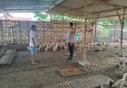 Bhabinkamtibmas-Desa-Gelang-Koordinasi-dengan-Warga-Manfaatkan-Lahan-P2B-untuk-Peternakan-Bebek