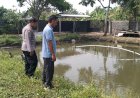 Bhabinkamtibmas-Apresiasi-Warga-Junwangi-Budidayakan-Ikan-Nila-untuk-Dukung-Ketahanan-Pangan
