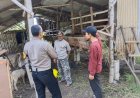 Upaya-Ketahanan-Pangan,-Bhabinkamtibmas-Sidokerto-Polsek-Buduran-Tinjau-Peternakan-Kambing