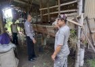 Polsek-Buduran-Tinjau-Perkembangan-Peternakan-Kambing-Desa-Sidokerto