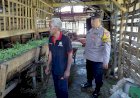 Bhabinkamtibmas-Polsek-Tulangan,-Motivasi-Peternak-Kambing-Tingkatkan-Produksi-Ketahanan-Pangan