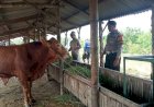 Kapolsek-Tanggulangin-Masifkan-Anggotanya-Turun-ke-Desa-untuk-Kawal-Program-Ketahanan-Pangan