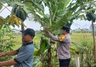 Kompak,-Polisi-dan-Perangkat-Desa-Bantu-Warga-Penggerak-Ketahanan-Pangan-di-Desa-Masangan-Kulon