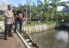 Budidaya-Ikan-Nila-di-Desa-Tebel-Gedangan,-Cocok-untuk-Program-Ketahanan-Pangan-Polresta-Sidoarjo