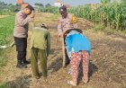 Polsek-Candi-Serahkan-Bibit-Jagung-Hibrida-Perkasa-kepada-Petani,-Perkuat-Ketahanan-Pangan-di-Sidoarjo