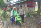 Polsek-Prambon-Pantau-Jagung-di-Bulang,-Pertumbuhan-Tanaman-Stabil