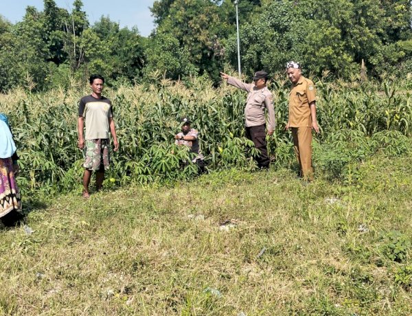 Polisi dan Petani Tulangan Dukung Ketahanan Pangan