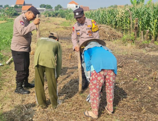 Polsek Candi Serahkan Bibit Jagung Hibrida Perkasa kepada Petani, Perkuat Ketahanan Pangan di Sidoarjo