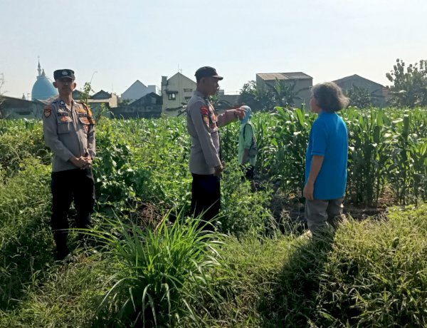 Bhabinkamtibmas Polsek Taman Masifkan Penyuluhan Ketahanan Pangan, Dukung Swasembada Jagung