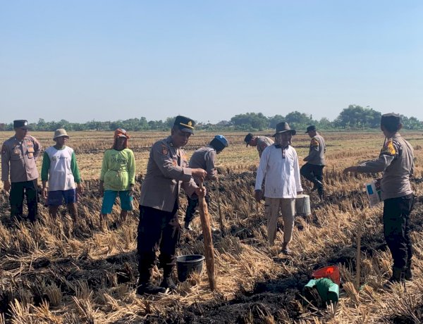 Polsek Tanggulangin Tanam Jagung Bersama Gapoktan di Randegan