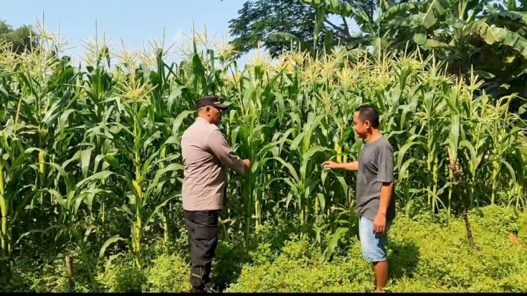 Polsek-Tanggulangin-Dukung-Ketahanan-Pangan,-Upayakan-Keluhan-Petani-di-Desa-Randegan